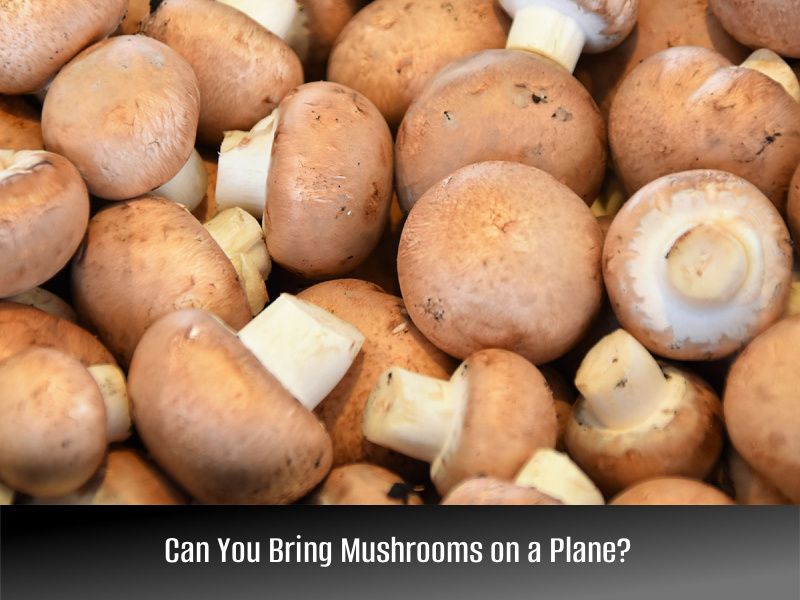 Mushrooms-on-a-Plane