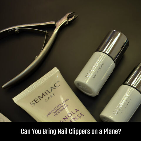 Can You Bring Nail Clippers on a Plane? (2023 TSA Rules)