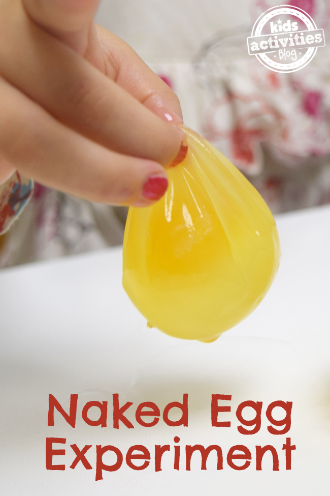 Naked-Egg-Experiment