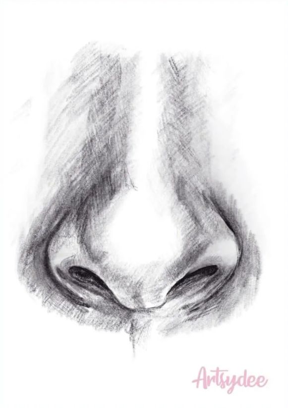 Quick Nose Drawing