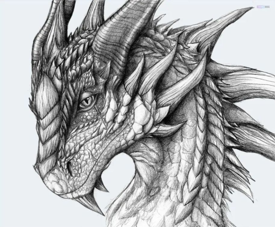 15 Easy How to Draw a Dragon Ideas