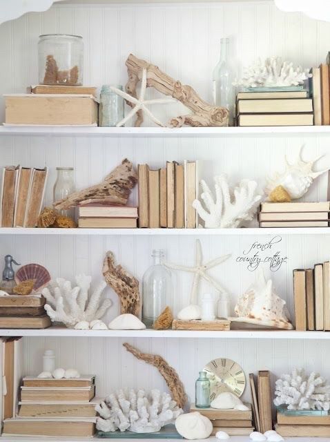 Seashell Bookshelf