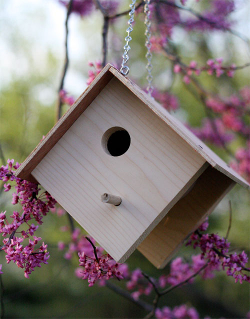 Simple Bird House