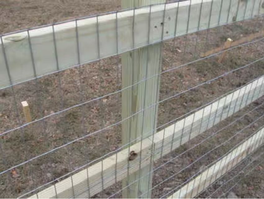 Simple Mesh Fence