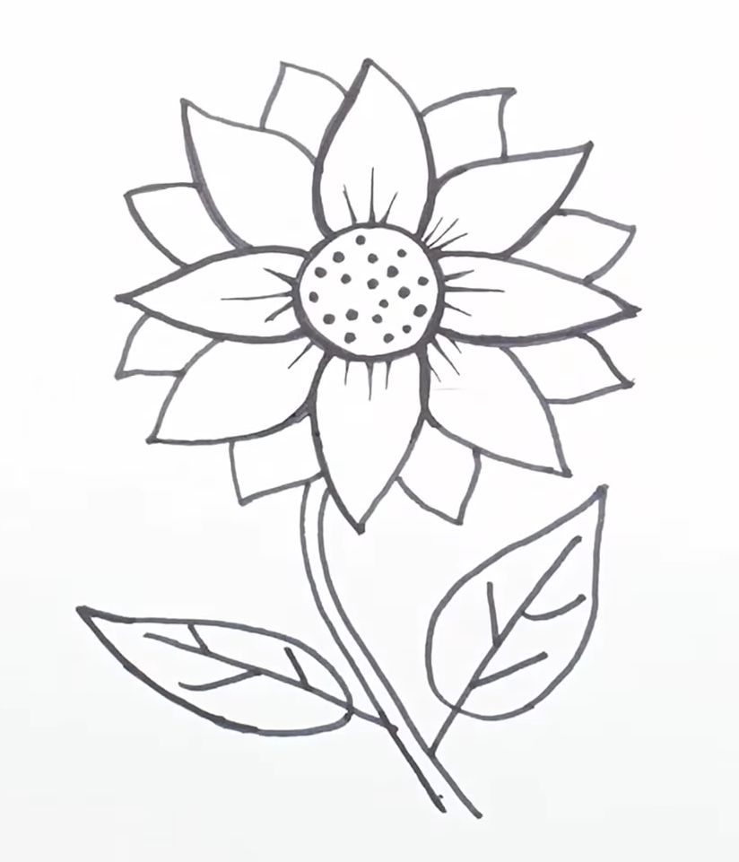 Simple Sunflower Drawing Tutorial