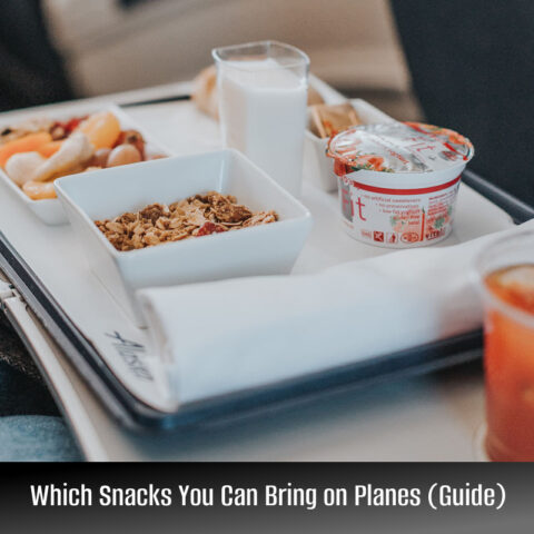 Which Snacks You Can Bring on Planes (Guide)