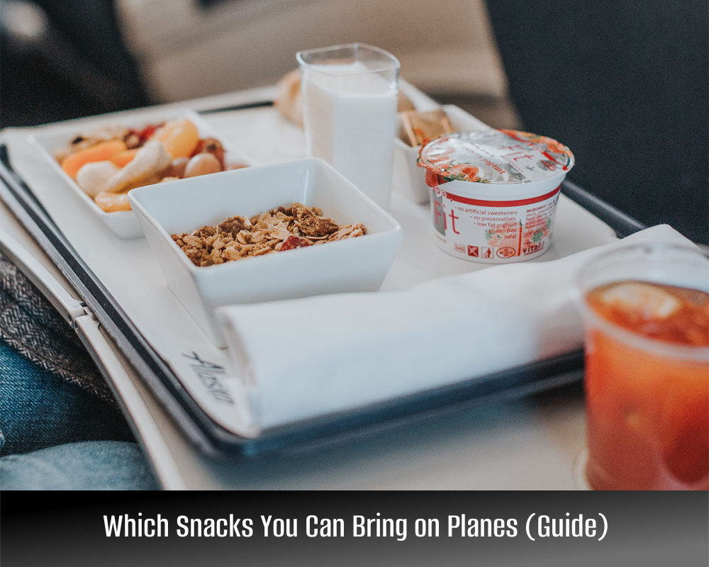 Which Snacks You Can Bring on Planes (Guide)