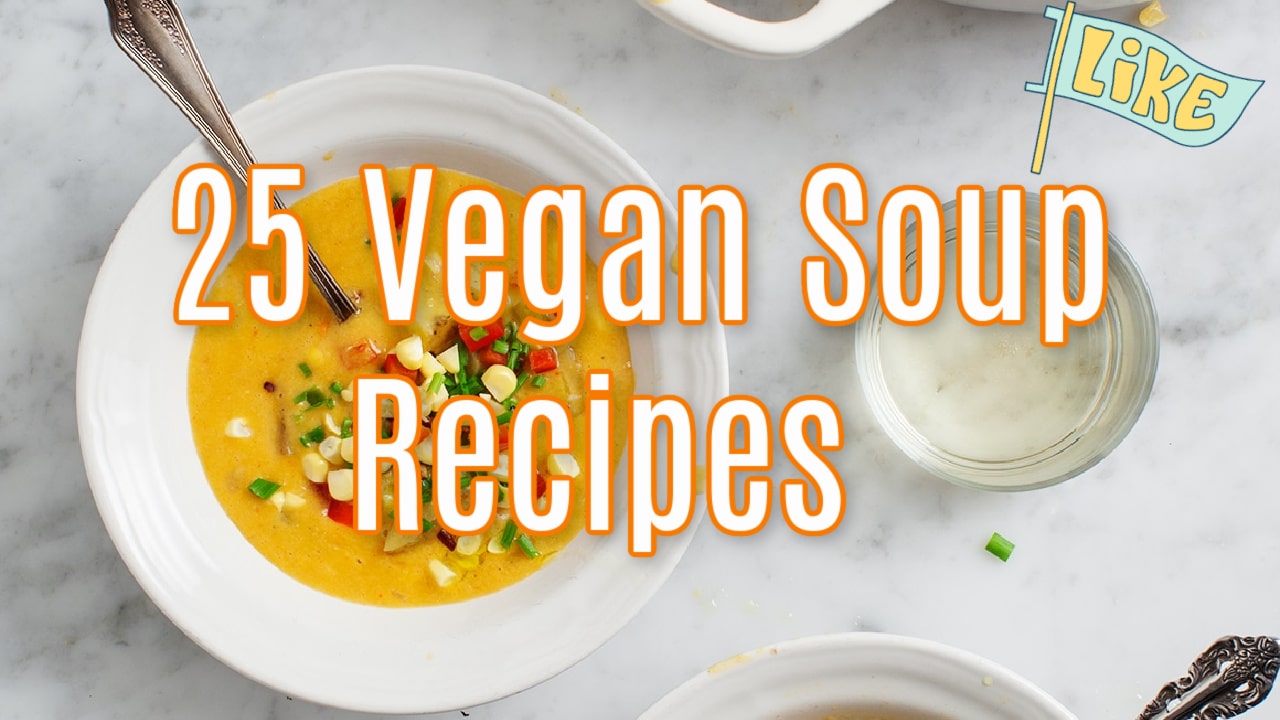 Vegan Soup Recipes