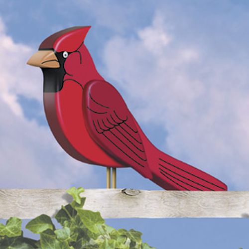 Spinning Cardinal