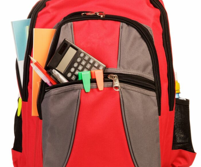 Standard School Backpack