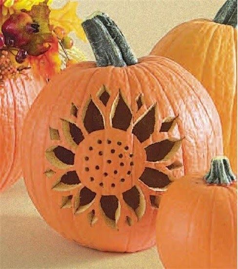 Sunflower Pumpkin