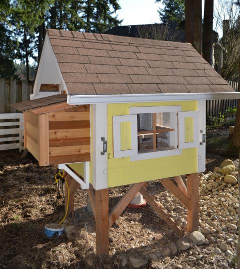 The Cheap-but-Functional Chicken Coop