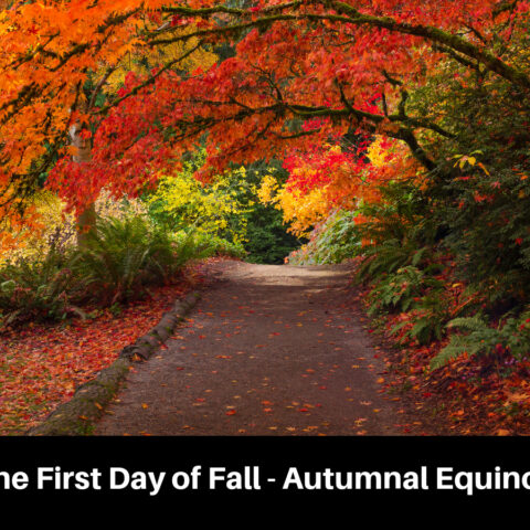 The First Day of Fall - Autumnal Equinox