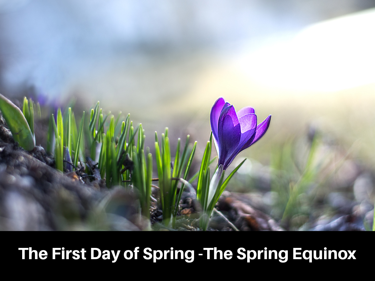 The First Day of Spring -The Spring Equinox