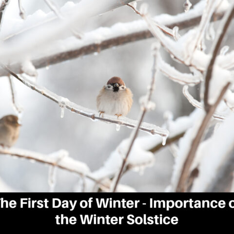 The First Day of Winter - Importance of the Winter Solstice