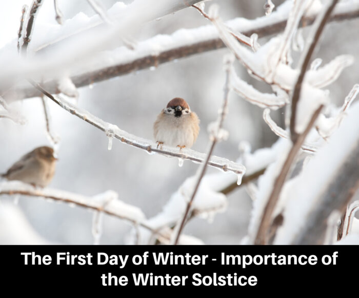 The First Day of Winter - Importance of the Winter Solstice