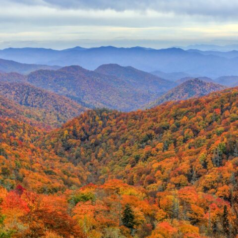 Things to Know Before Visiting the Smoky Mountains
