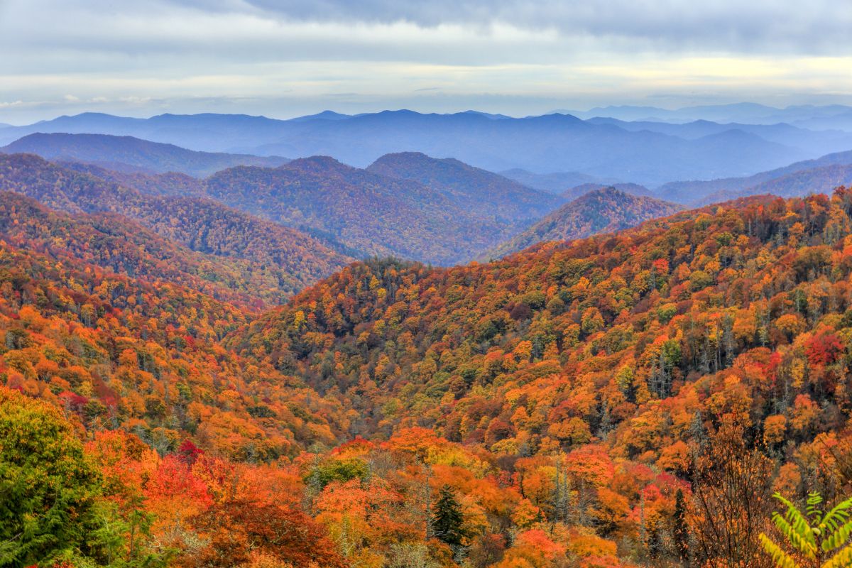 Things to Know Before Visiting the Smoky Mountains