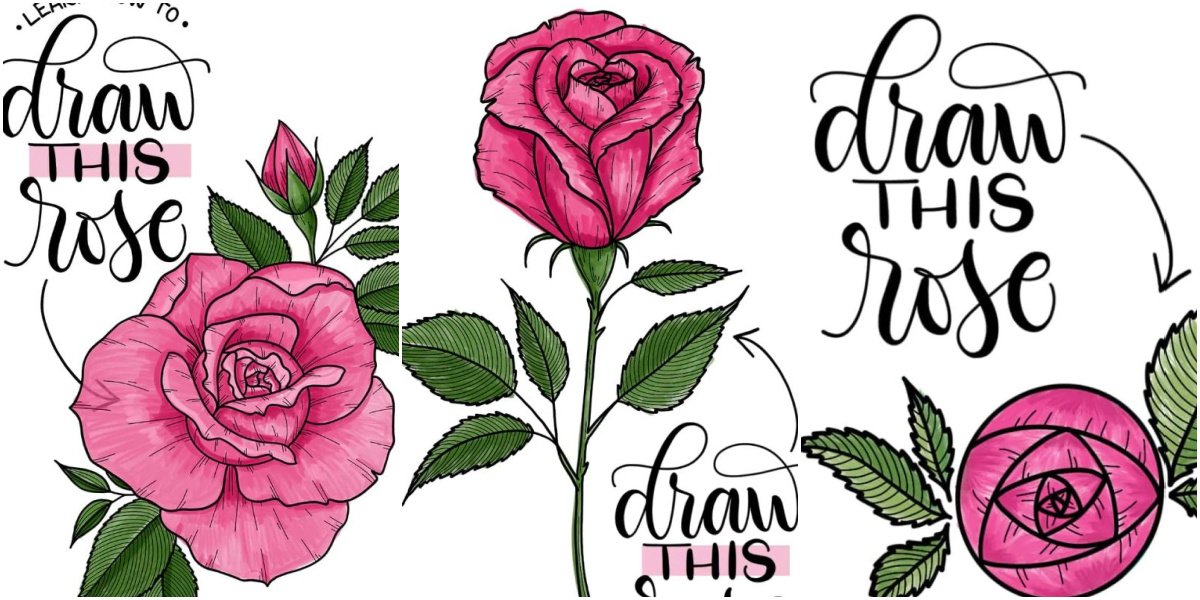 Three Ways to Draw a Rose