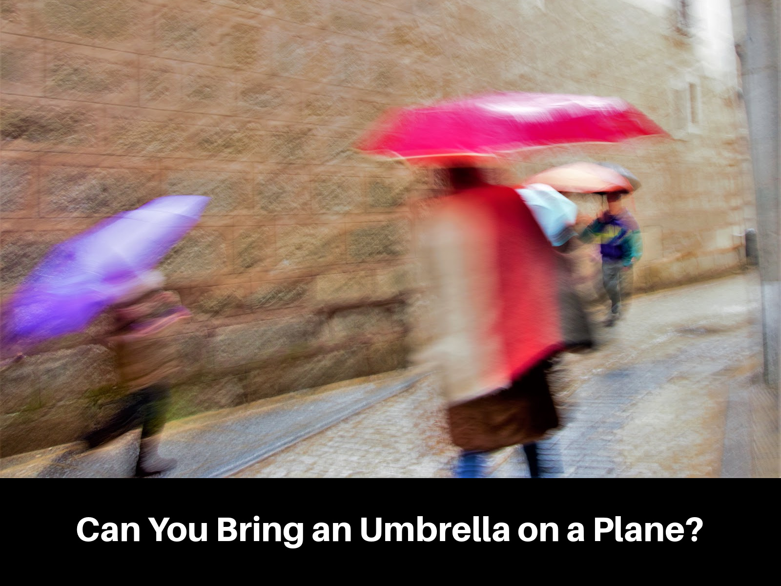 umbrella on plane