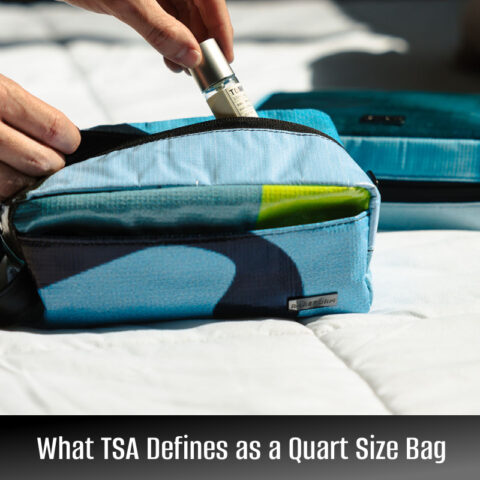 TSA Approved Quart Size Bag & Ziploc Dimensions (Guide)