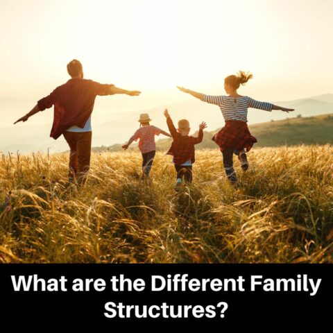 What are the Different Family Structures? 