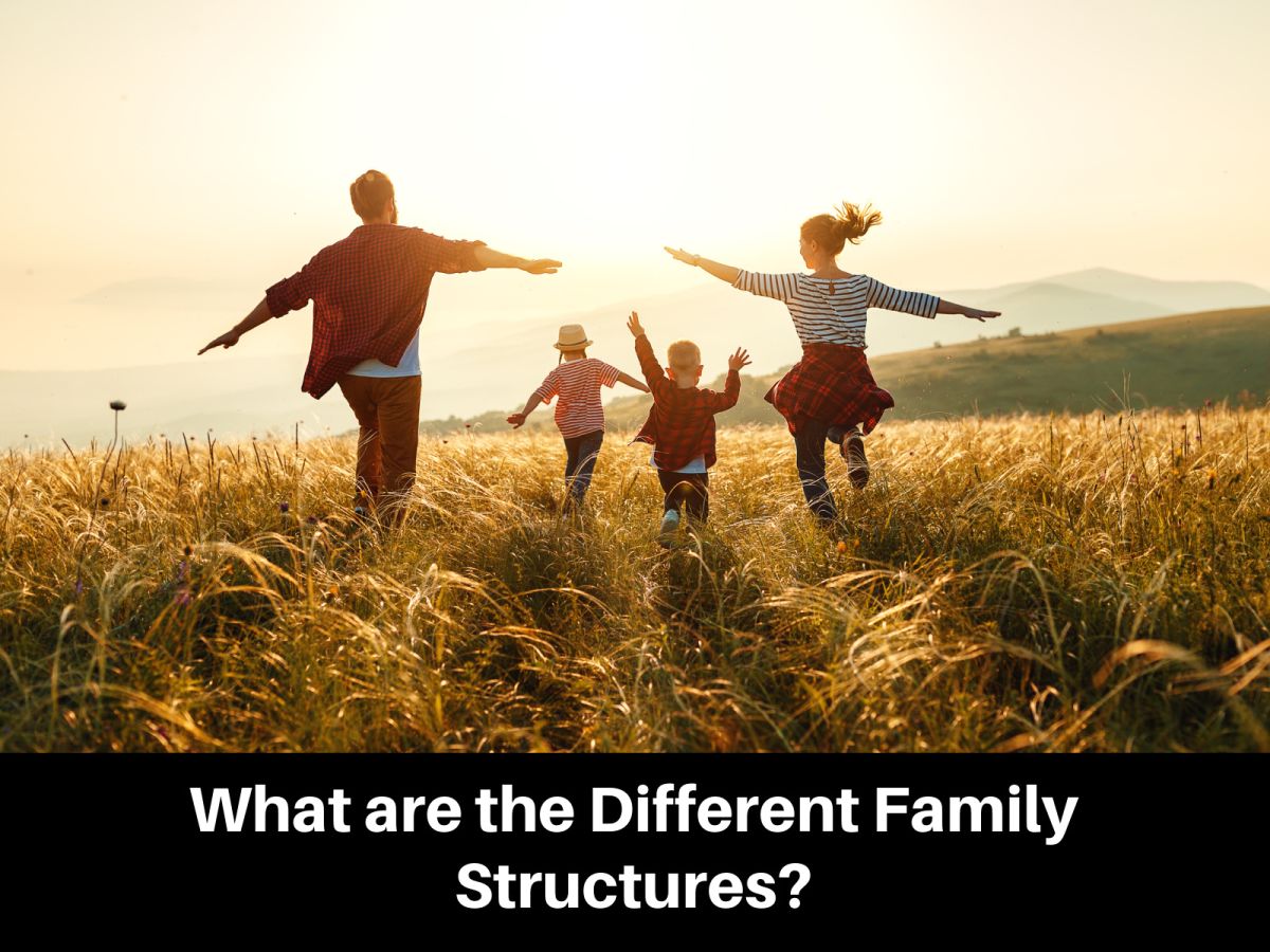 What are the Different Family Structures? 