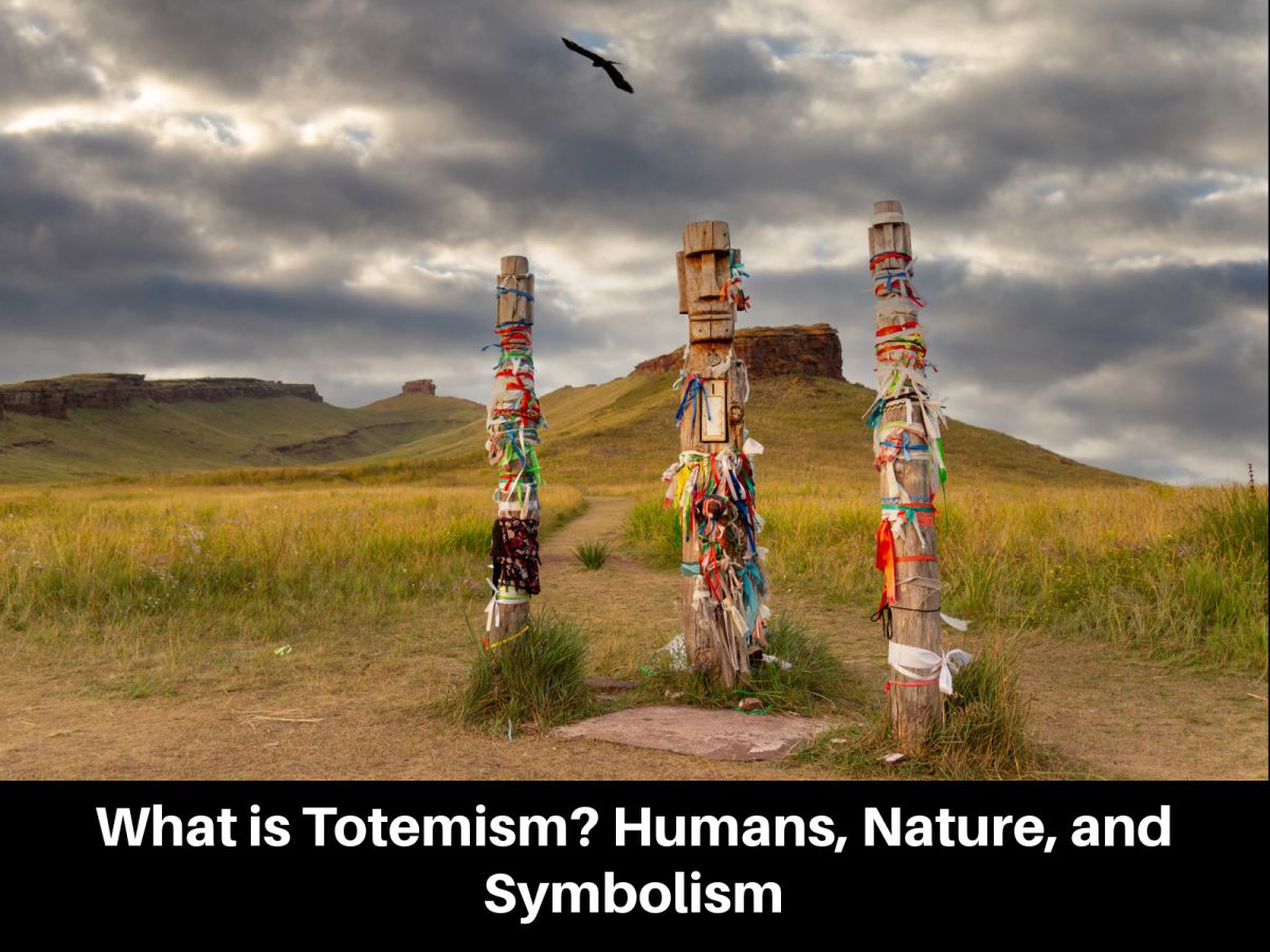 What is Totemism? Humans, Nature, and Symbolism