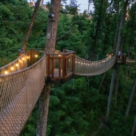 What is Treetop Skywalk Tennessee