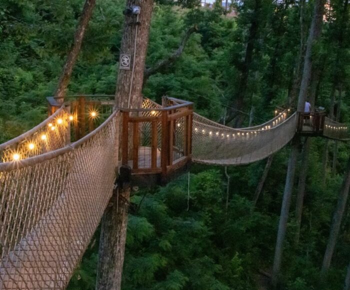 What is Treetop Skywalk Tennessee