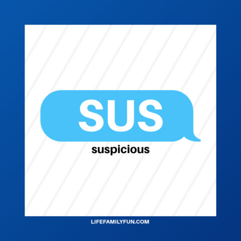SUS Acronym: Definition, Meaning, and How to Use It