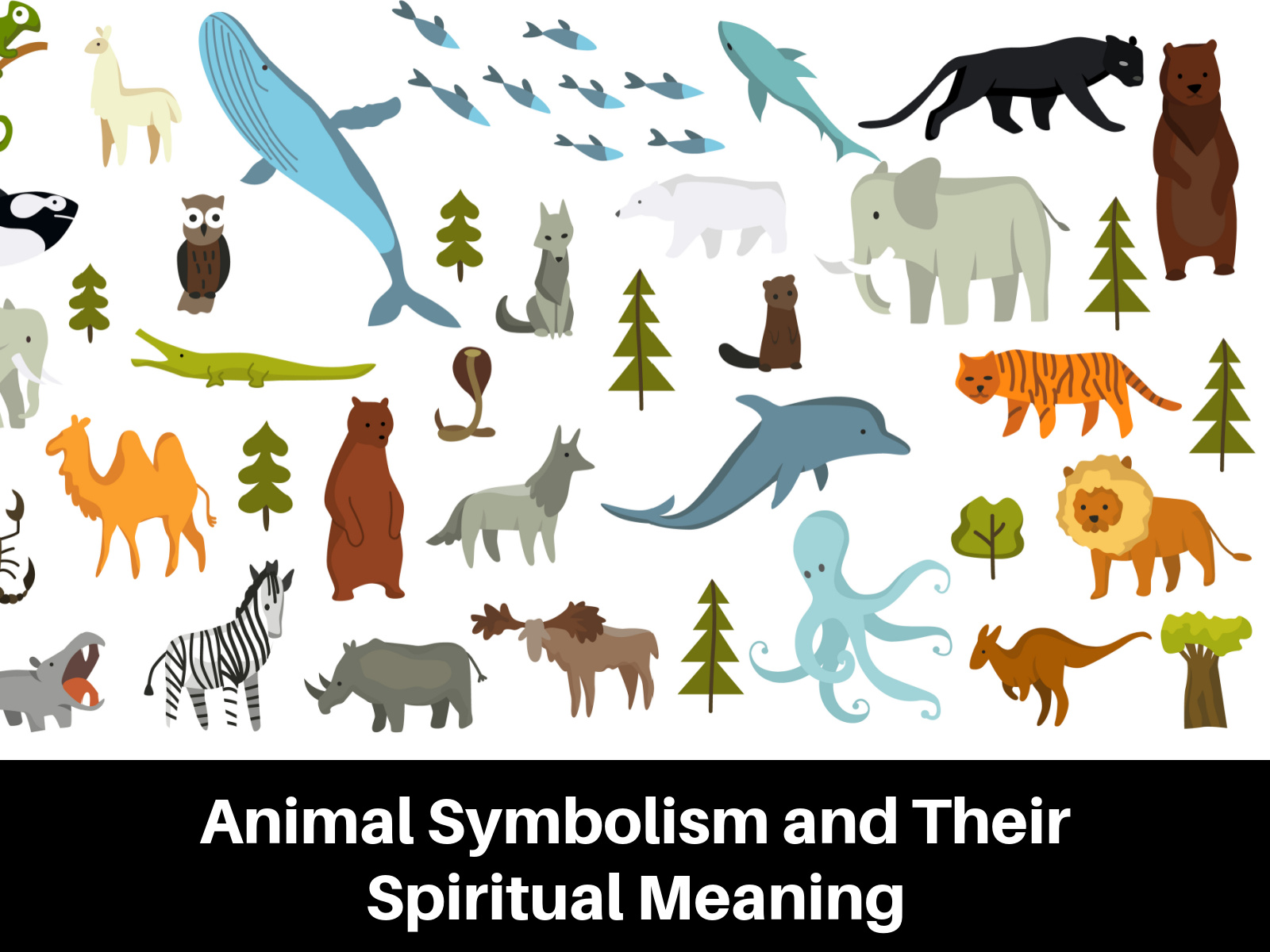 Animal Symbolism and Their Spiritual Meaning