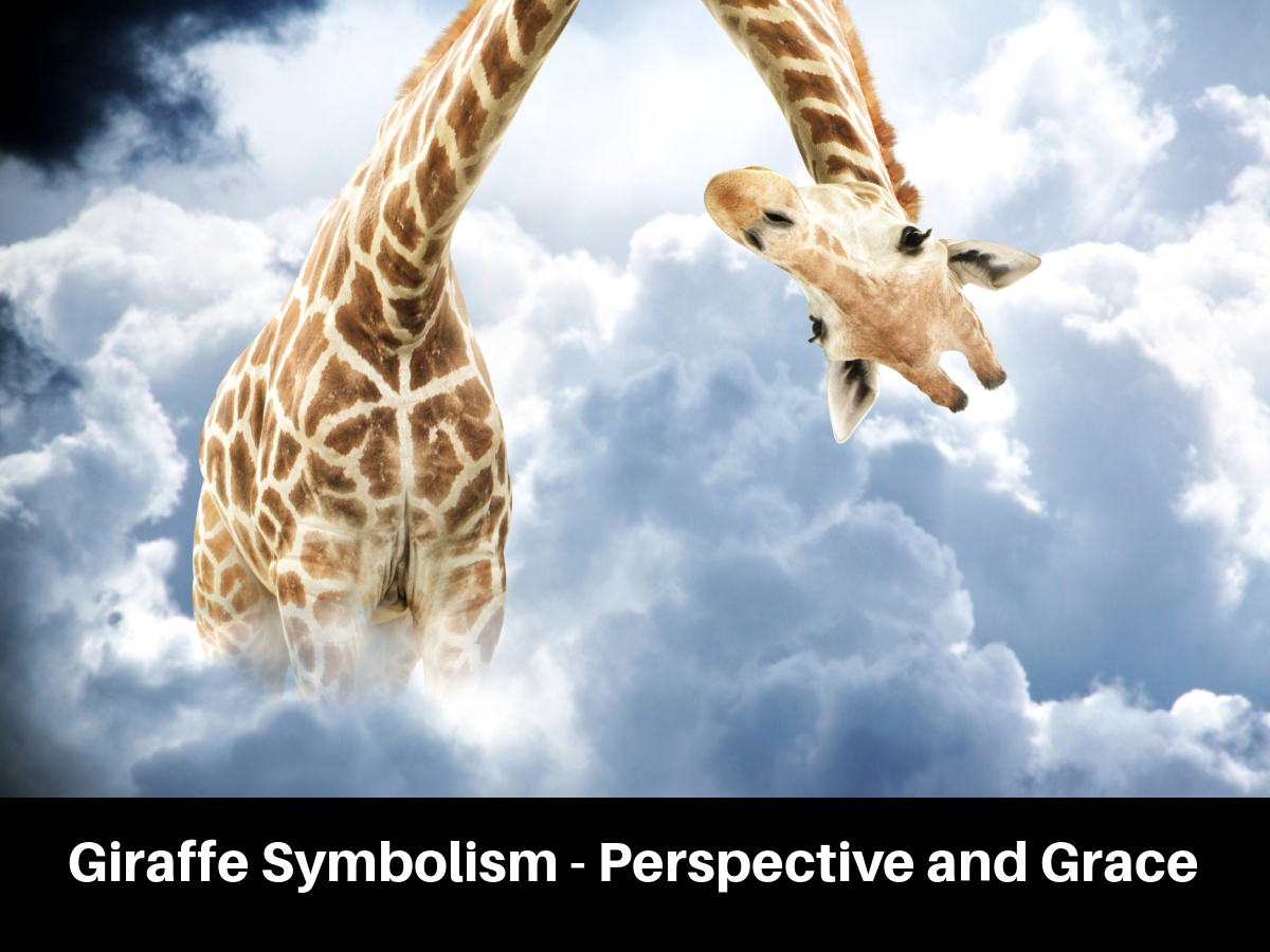 Giraffe Symbolism - Perspective and Grace