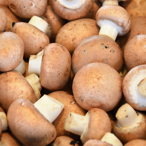 Can You Bring Mushrooms on a Plane?
