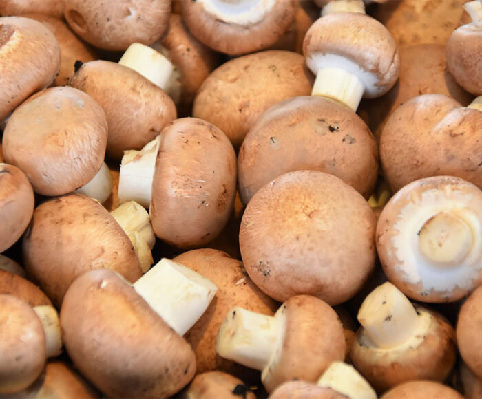 Can you bring fresh mushrooms on planes