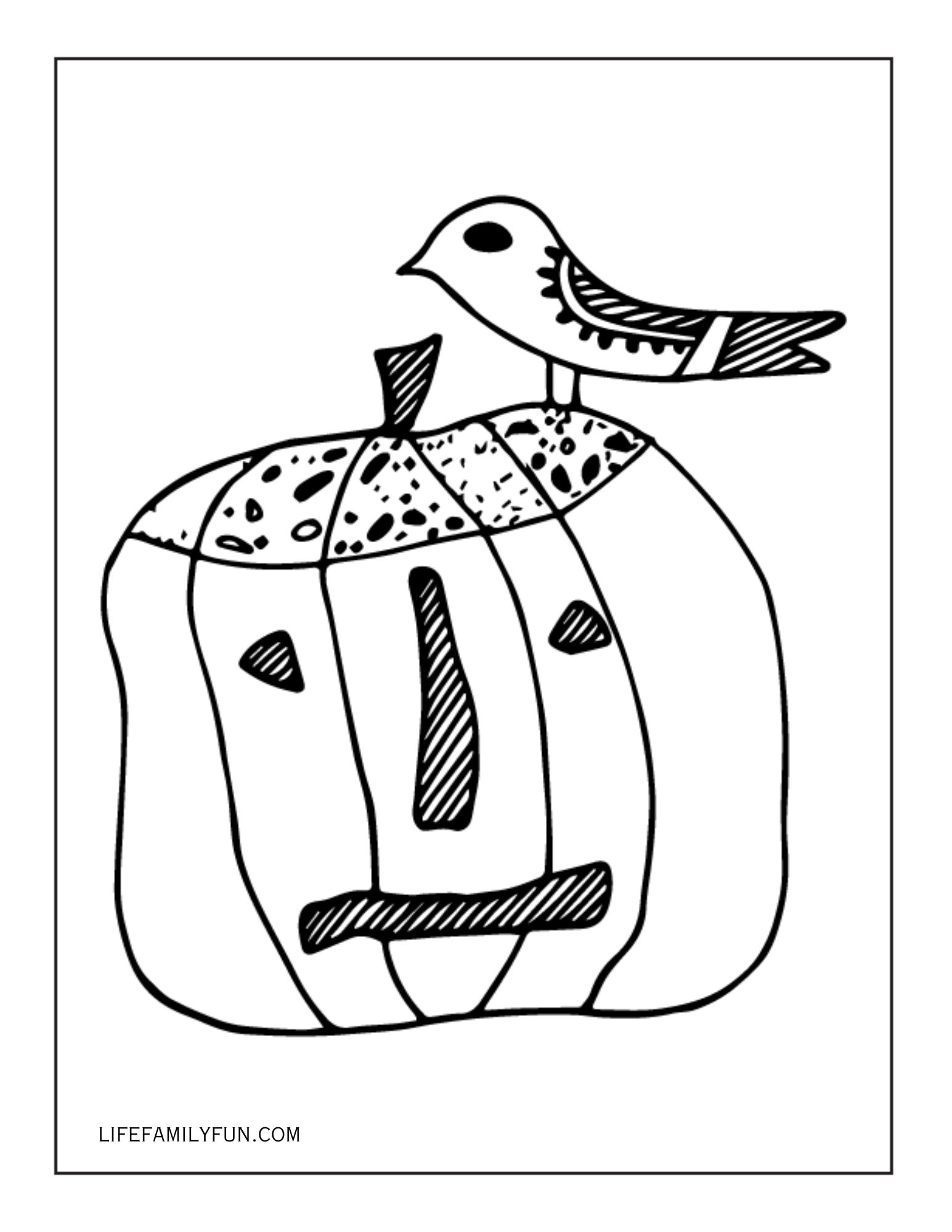 Bird and Halloween Pumpkin Coloring Page