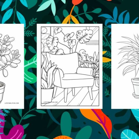 20 FREE Houseplant Coloring Pages to Cultivate Peace and Prosperity