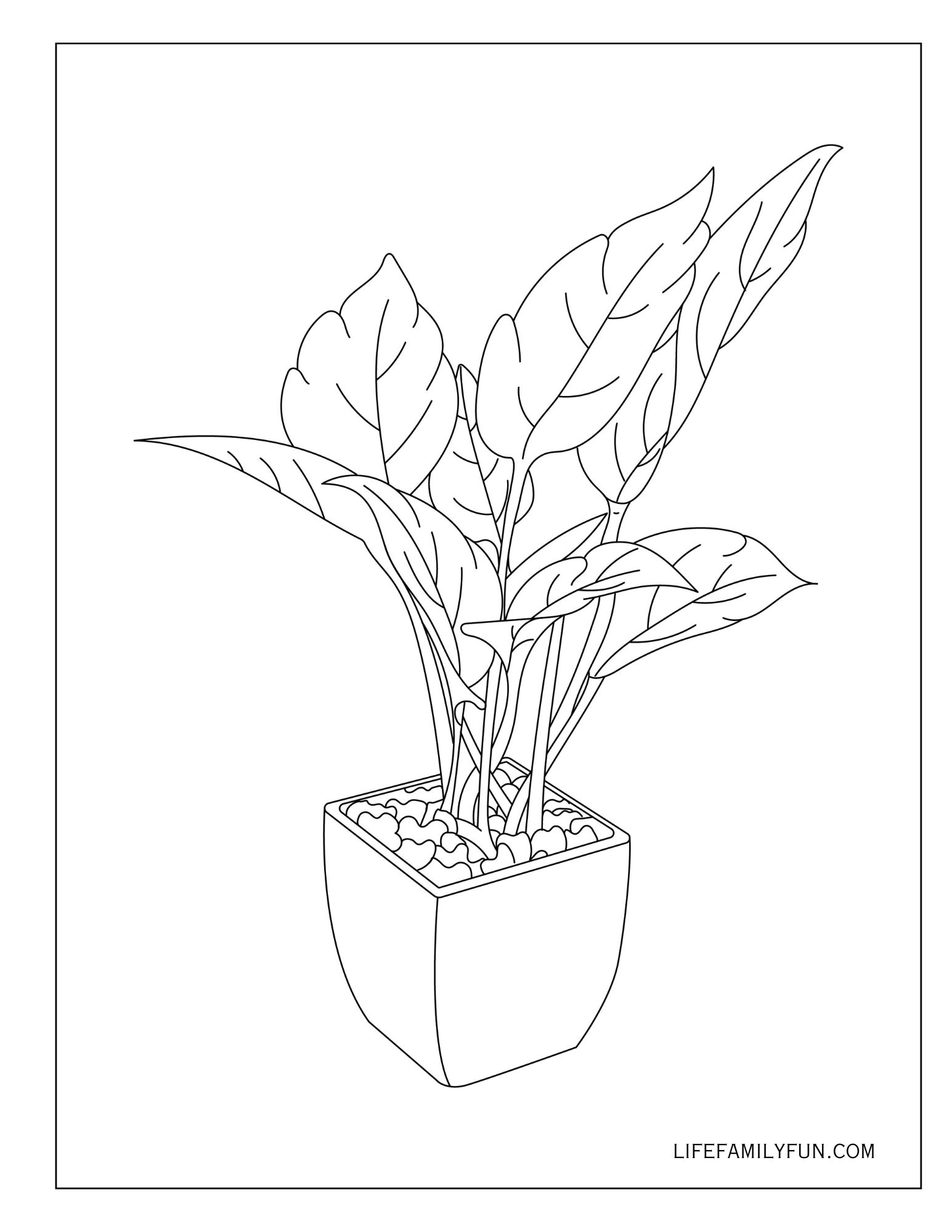 Coloring Page Black and White Plants