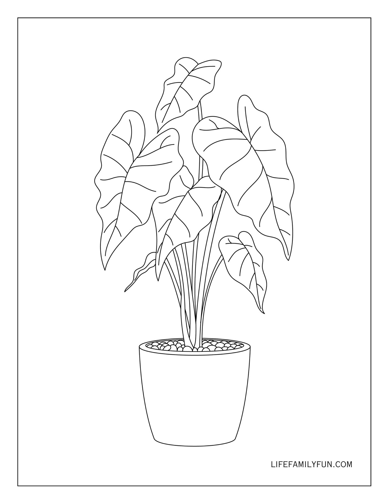 Green Coloring Pages