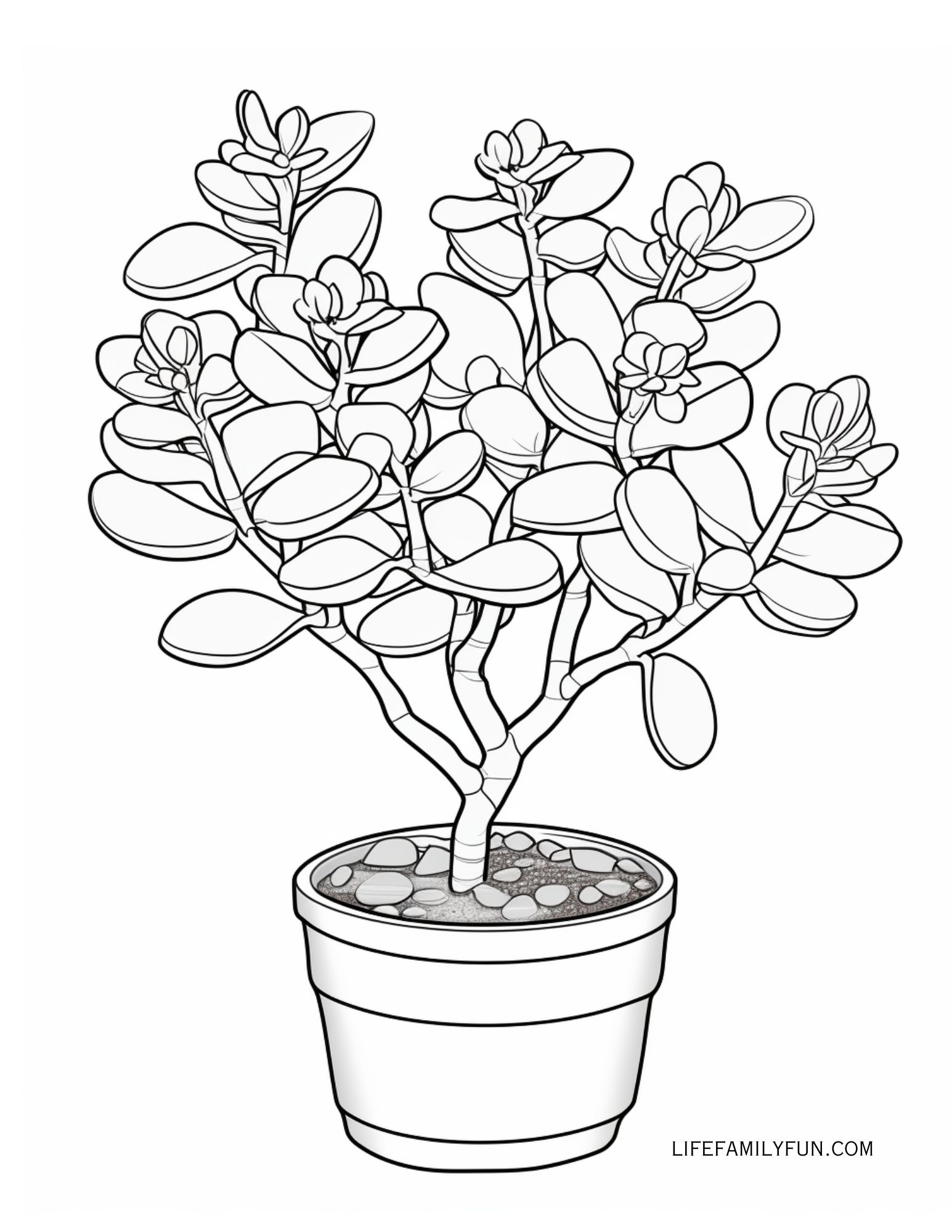 Houseplant Coloring Page