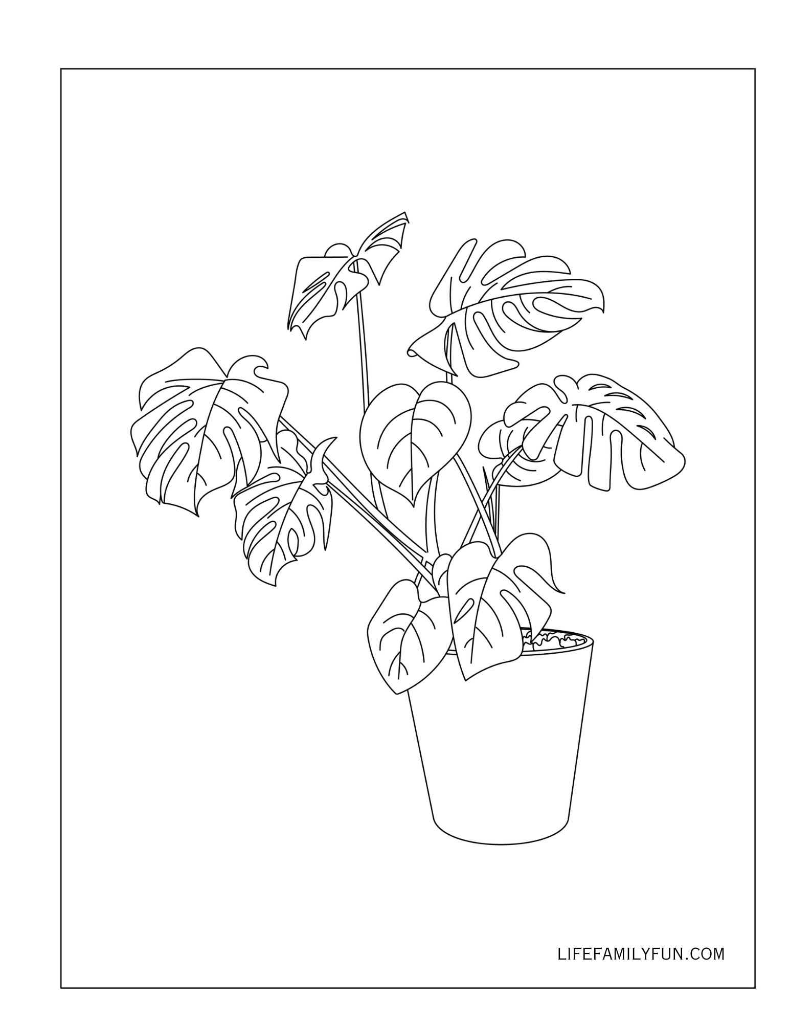 Monstera Coloring Page