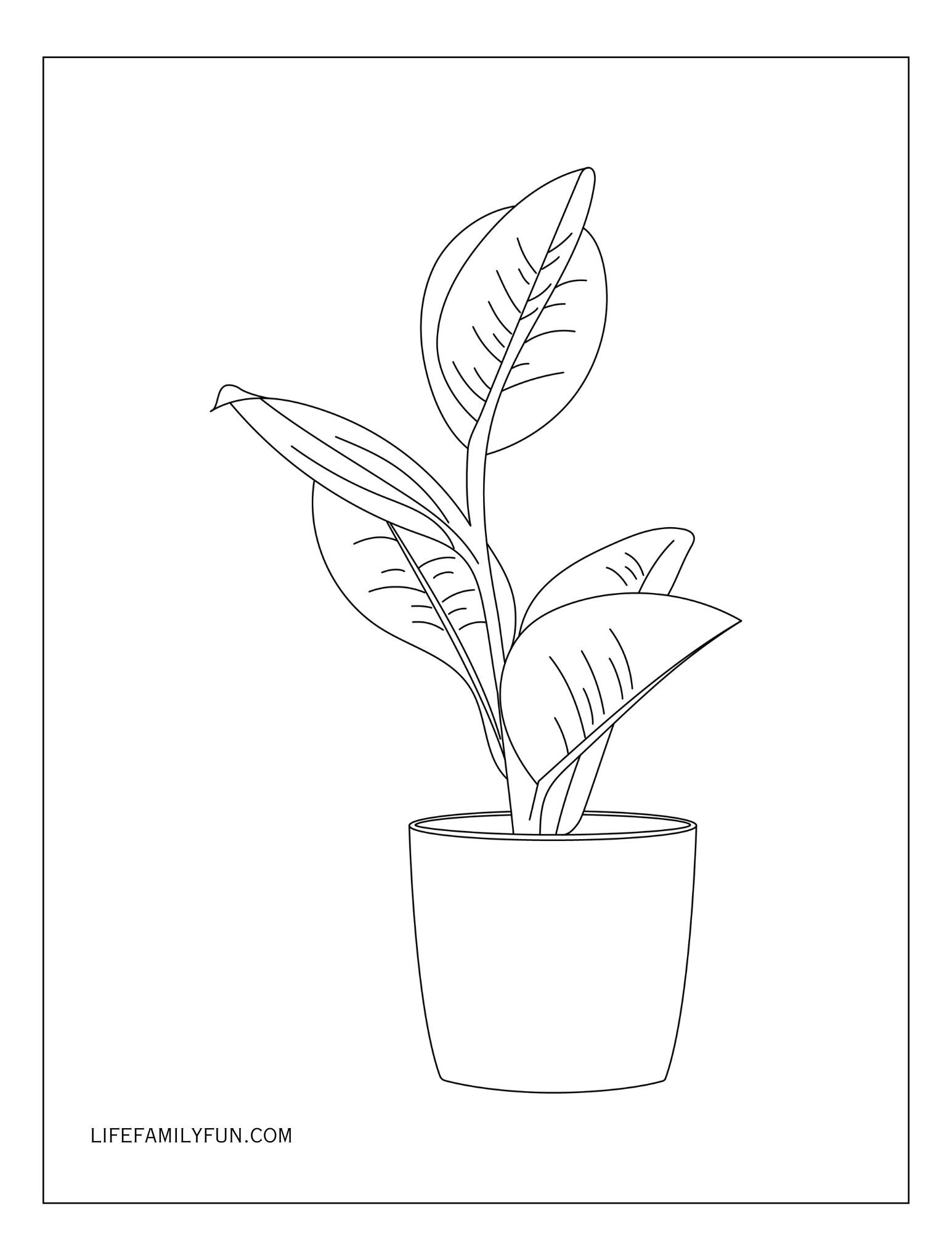 Plants Coloring Page