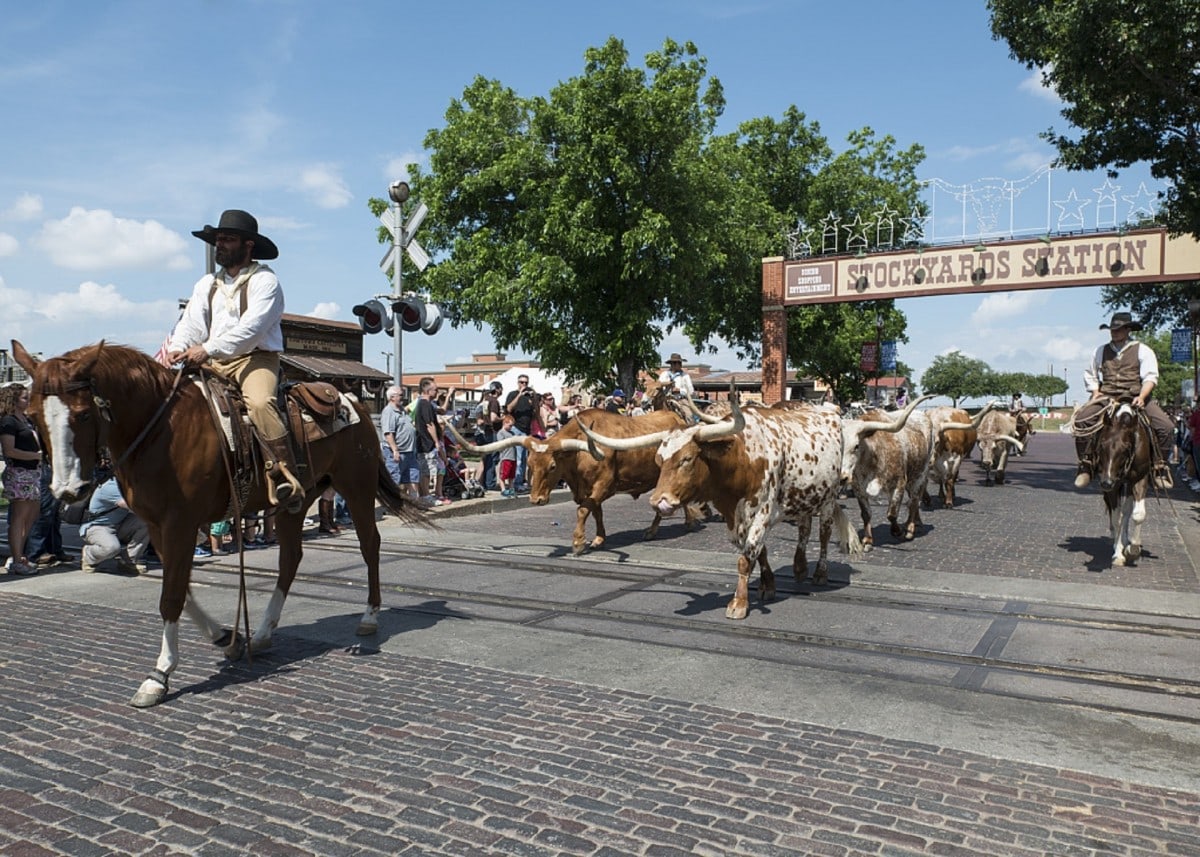 Fort Worth Stockyards, family friendly things to do in Dallas Fort Worth