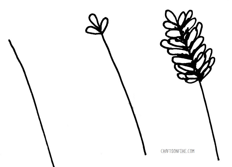 how to draw lavender flower