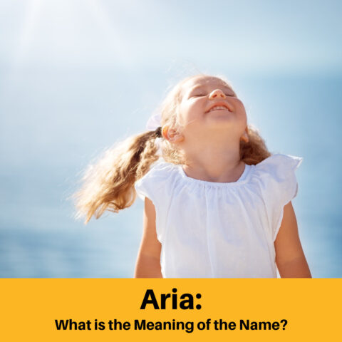 What Does The Name Aria Mean?