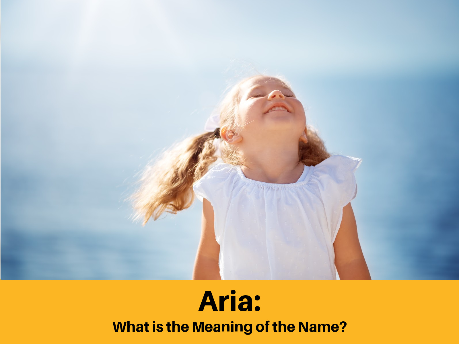 The meaning of name Aria