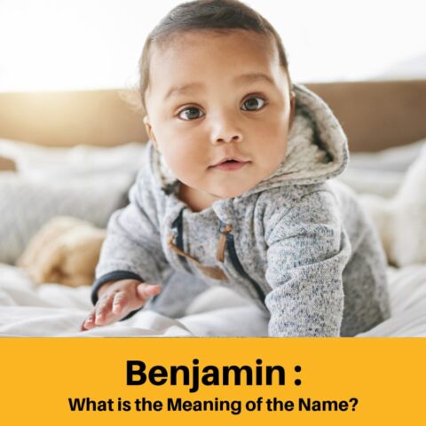 What Does the Name Benjamin Mean?