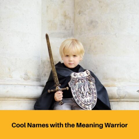 Warrior Names: Embracing the Legacy of Heroic Champions