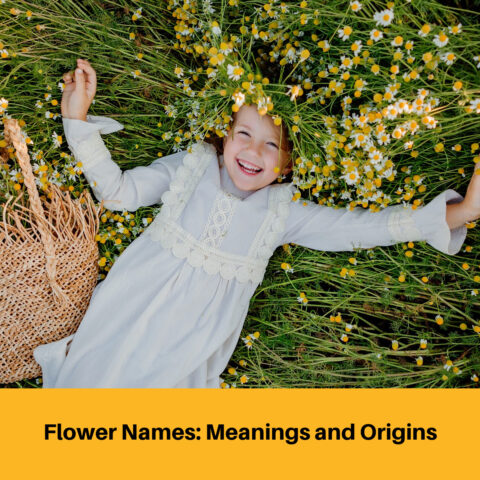 Decoding Flower Names: Meanings and Origins