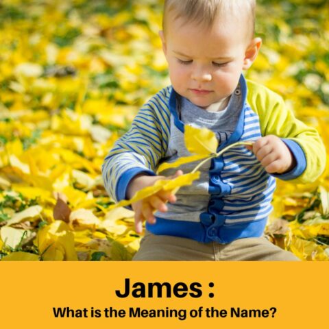 What Does The Name James Mean?
